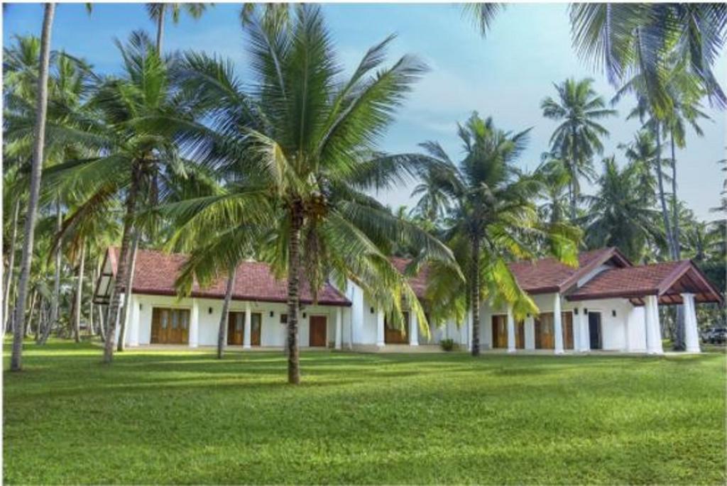 Katunayaka Coco Villa Peach Tree מראה חיצוני תמונה
